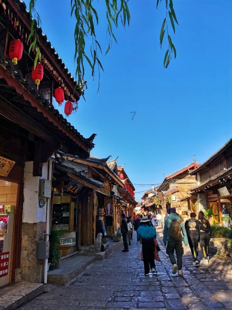 这是什么狗？游戏画面